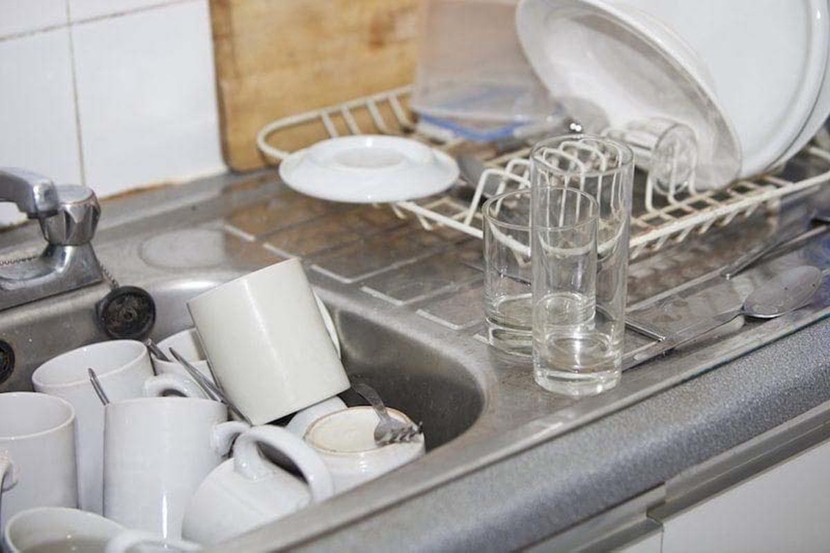 Reason to Keep Your Kitchen Clean